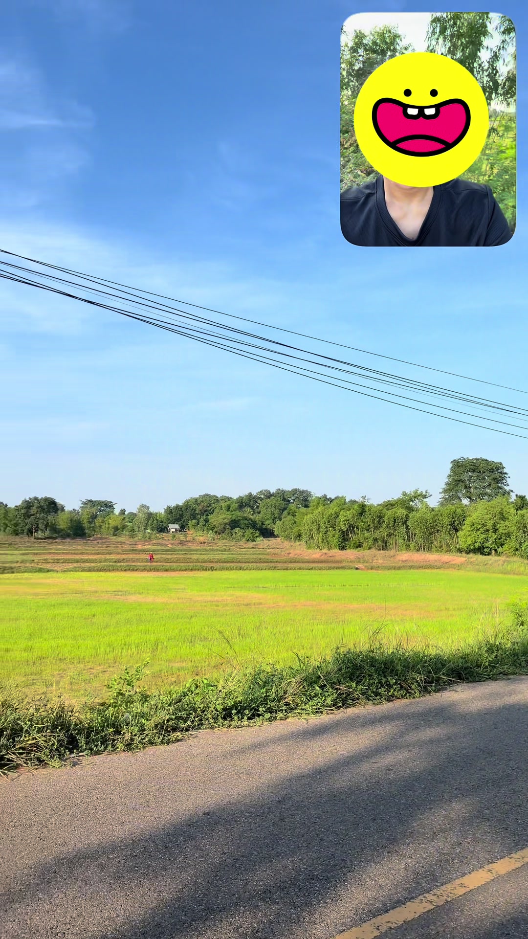 @Nick Teerapong