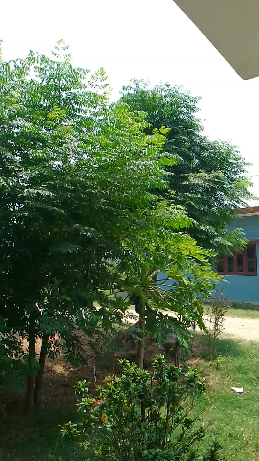 @ishika_thapa(•‿•)