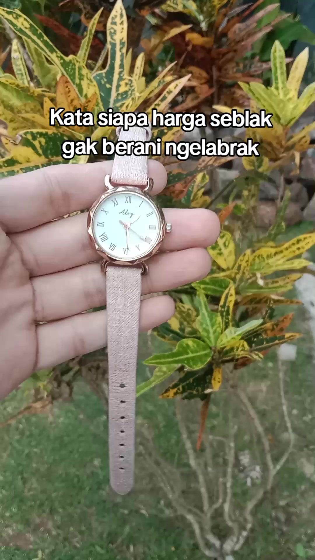 @S-tetik 🛒