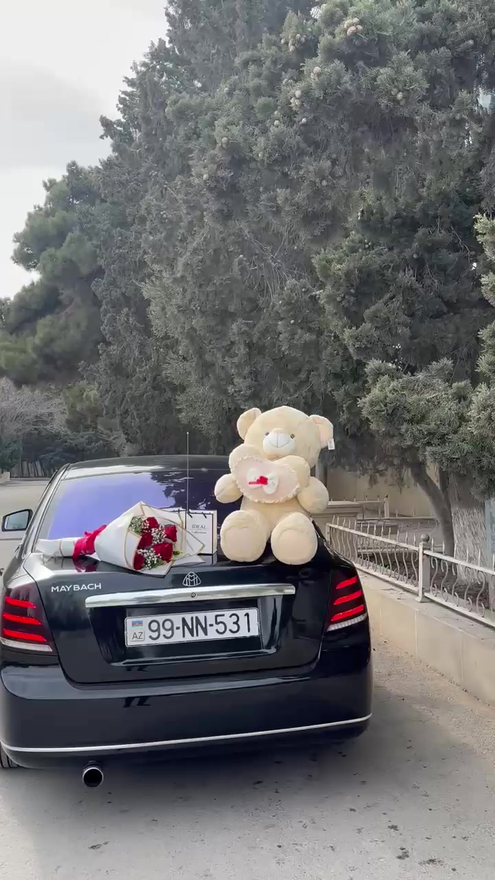 @𝓝𝓝