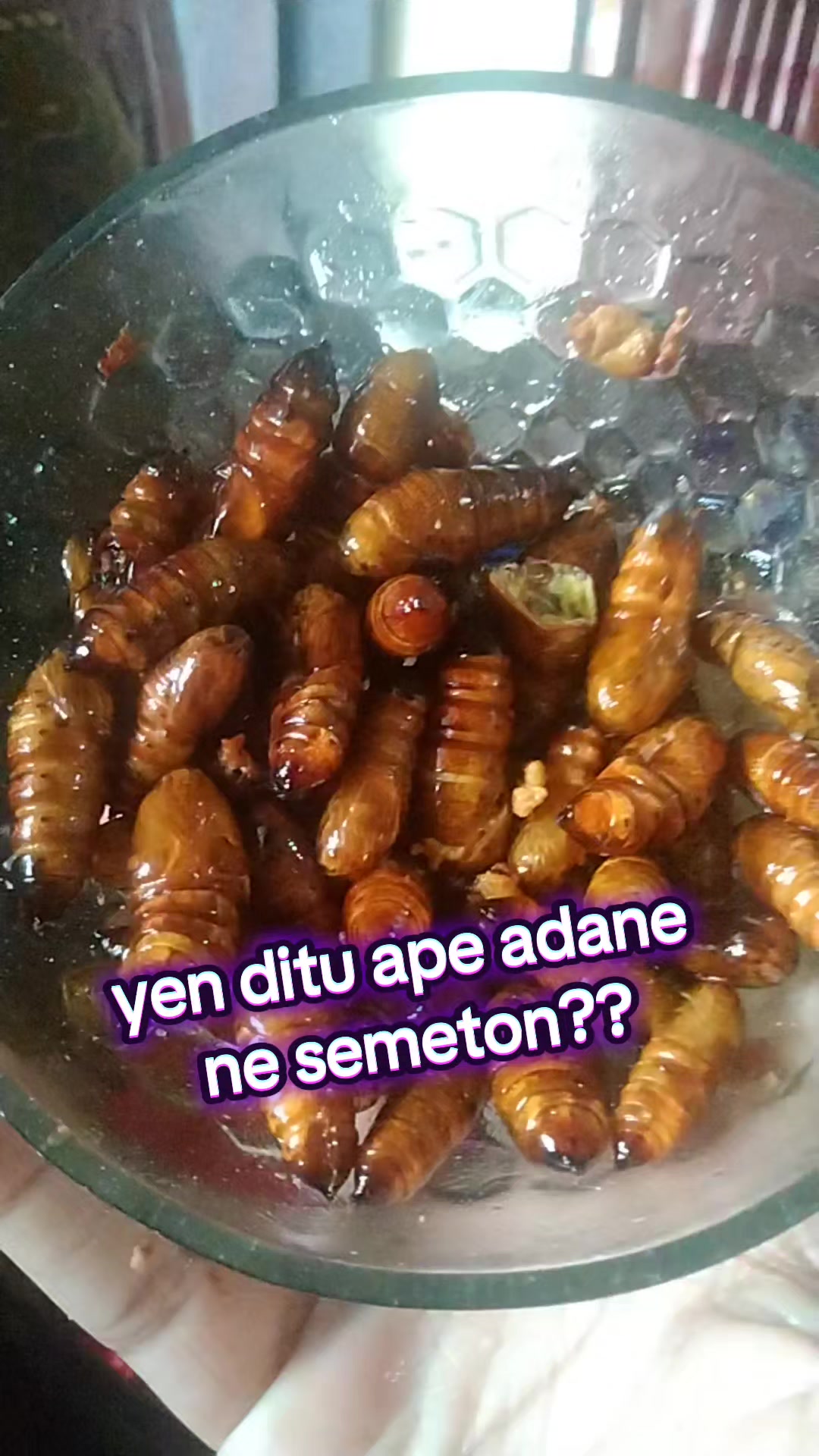 @mangtrii95