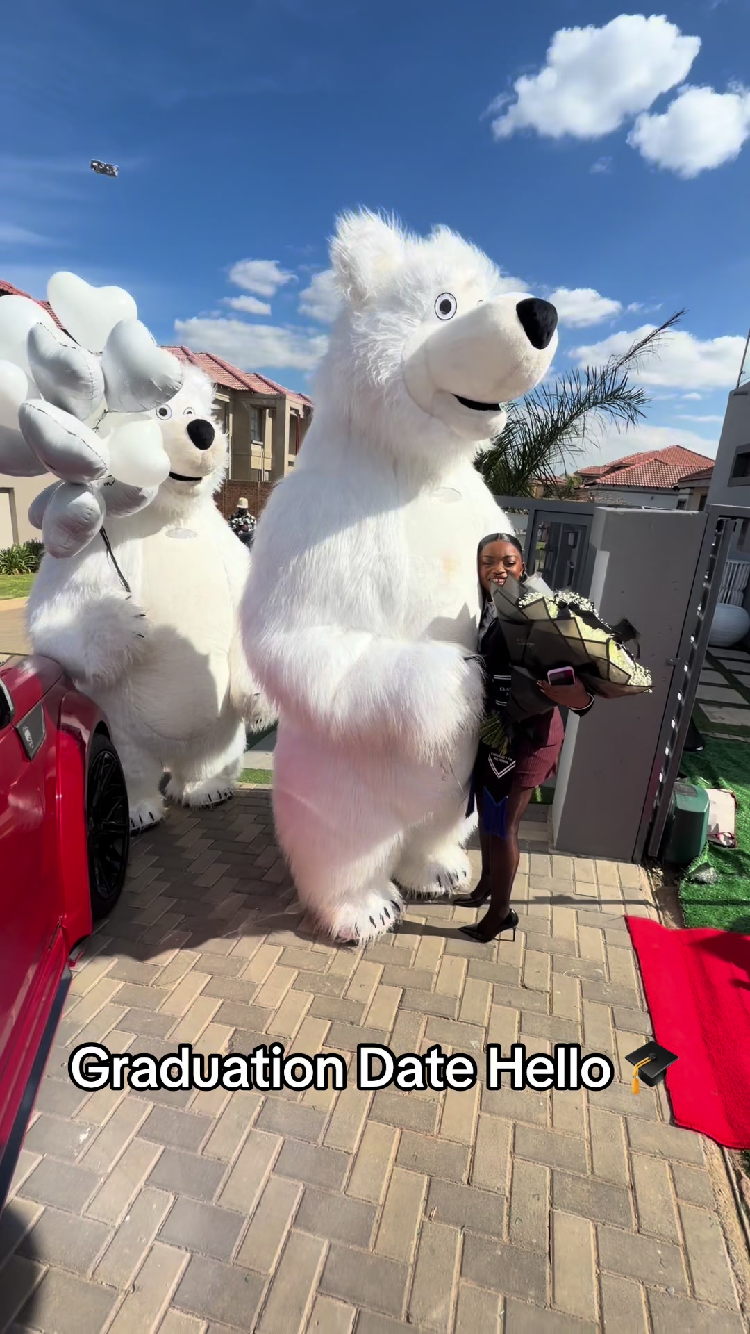 @dancingmascotssa