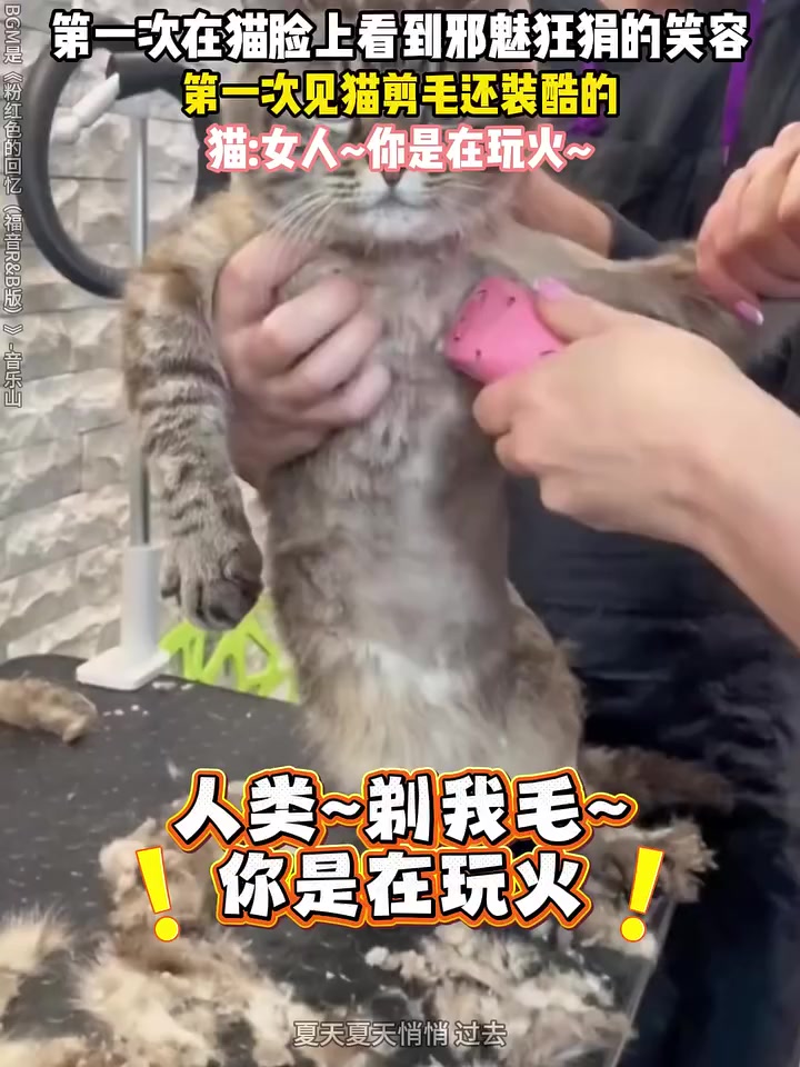@心隨意動
