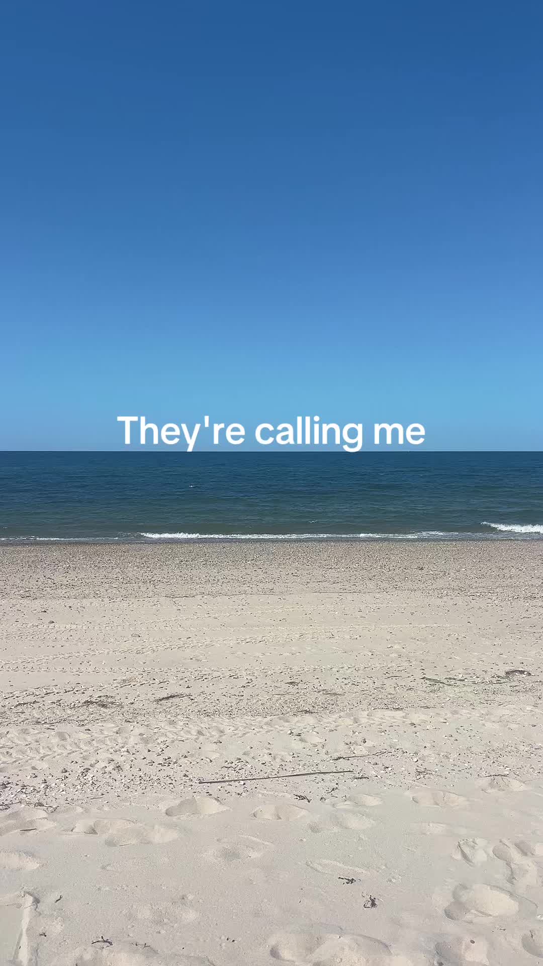 @Lexi