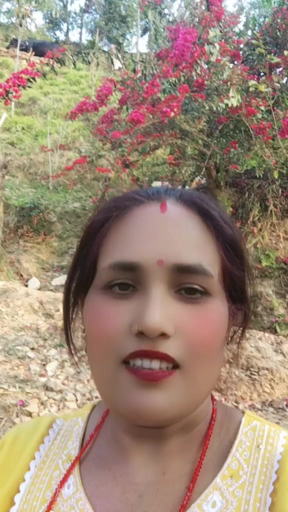 @sharmiladangal46