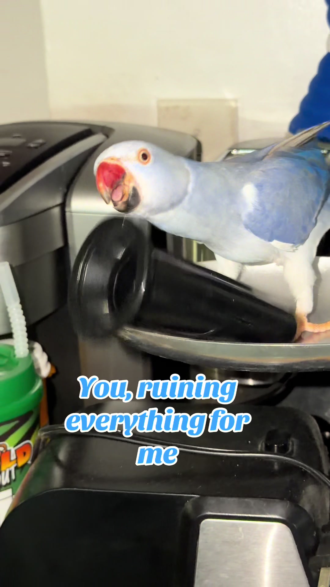 @Yamy levy