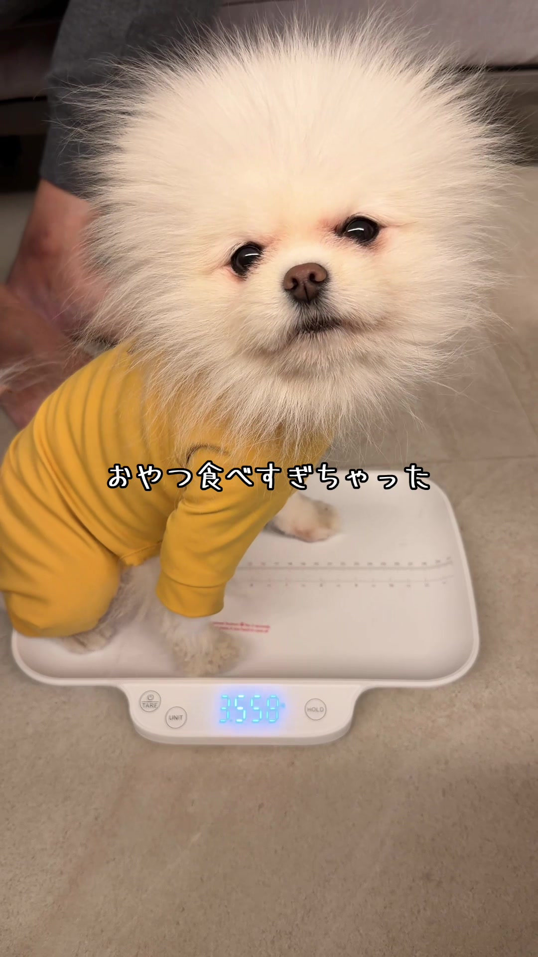 @とろふわ