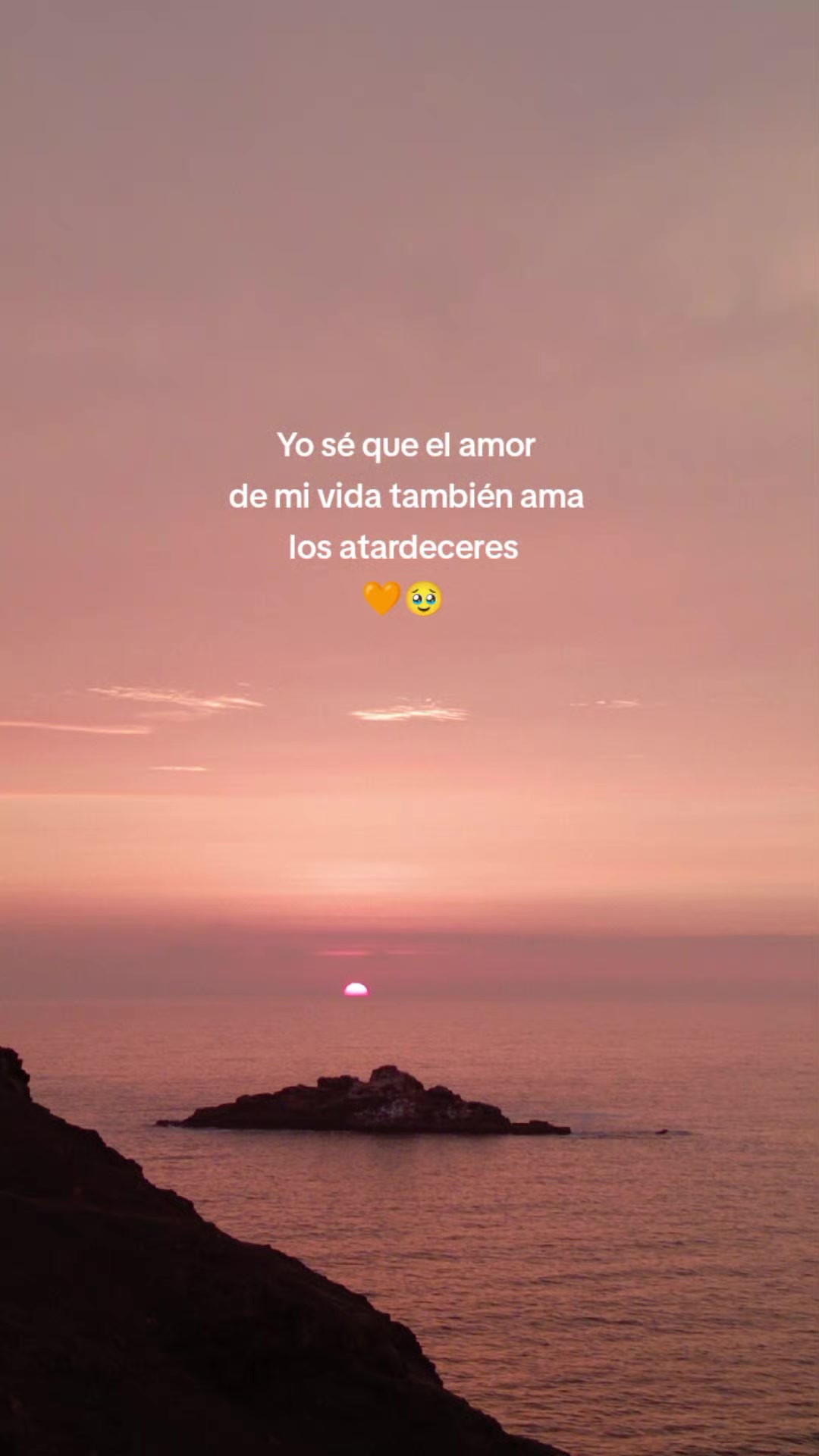 @🩷Yoni Mayumi🩵