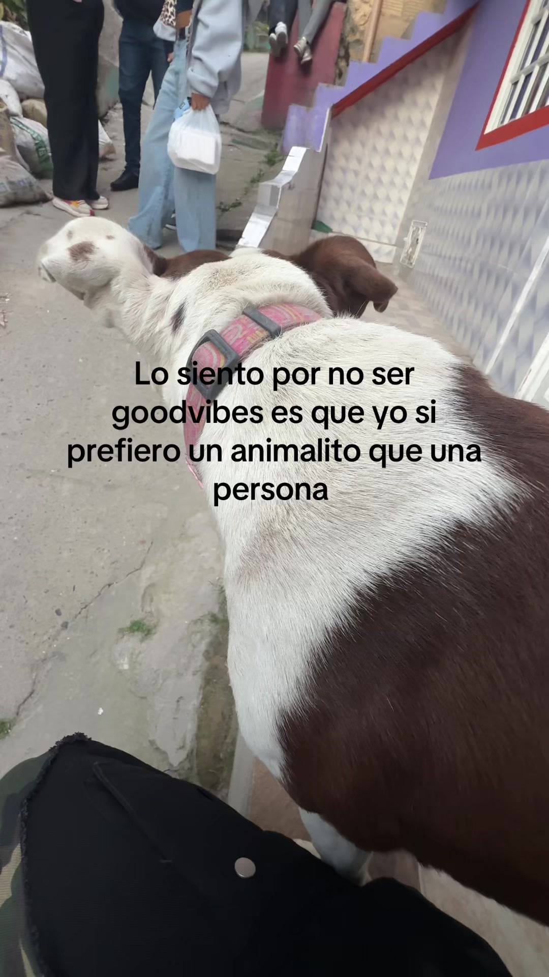 @Darmiel