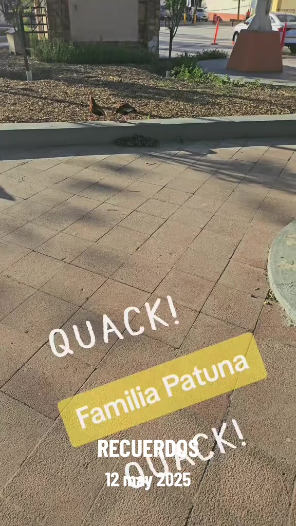 @Brenda &hearts;️