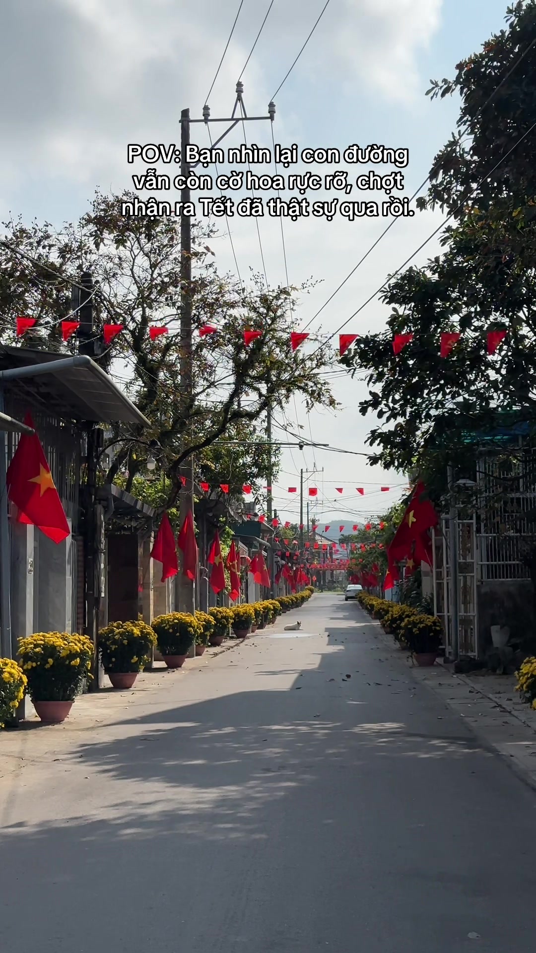 @Thanh Thỏ