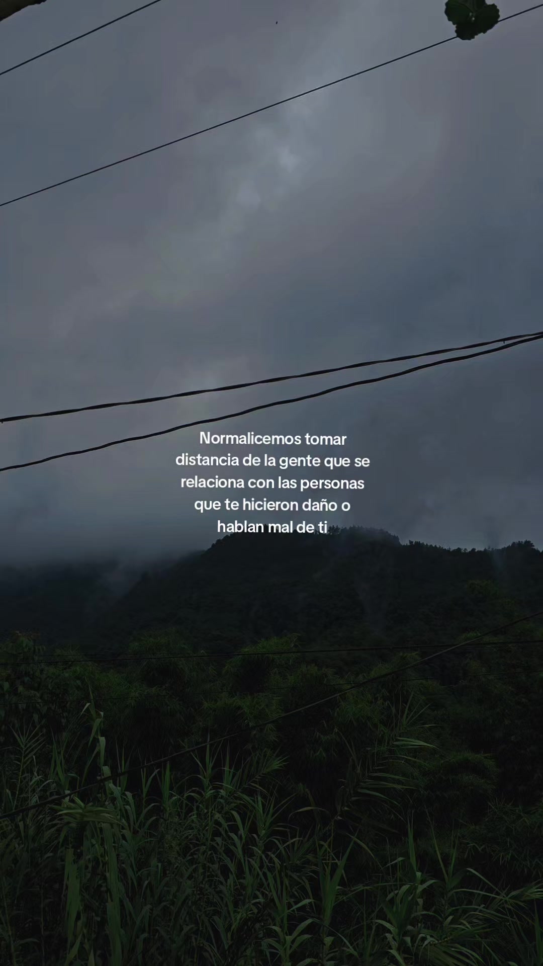 @𝓔𝓵𝓪 𝓔𝓼𝓽𝓻𝓪𝓭♡