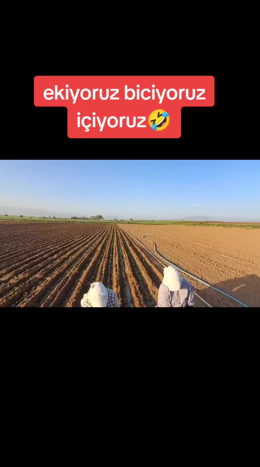@☺️Farmasi Cemile damgacı🐟