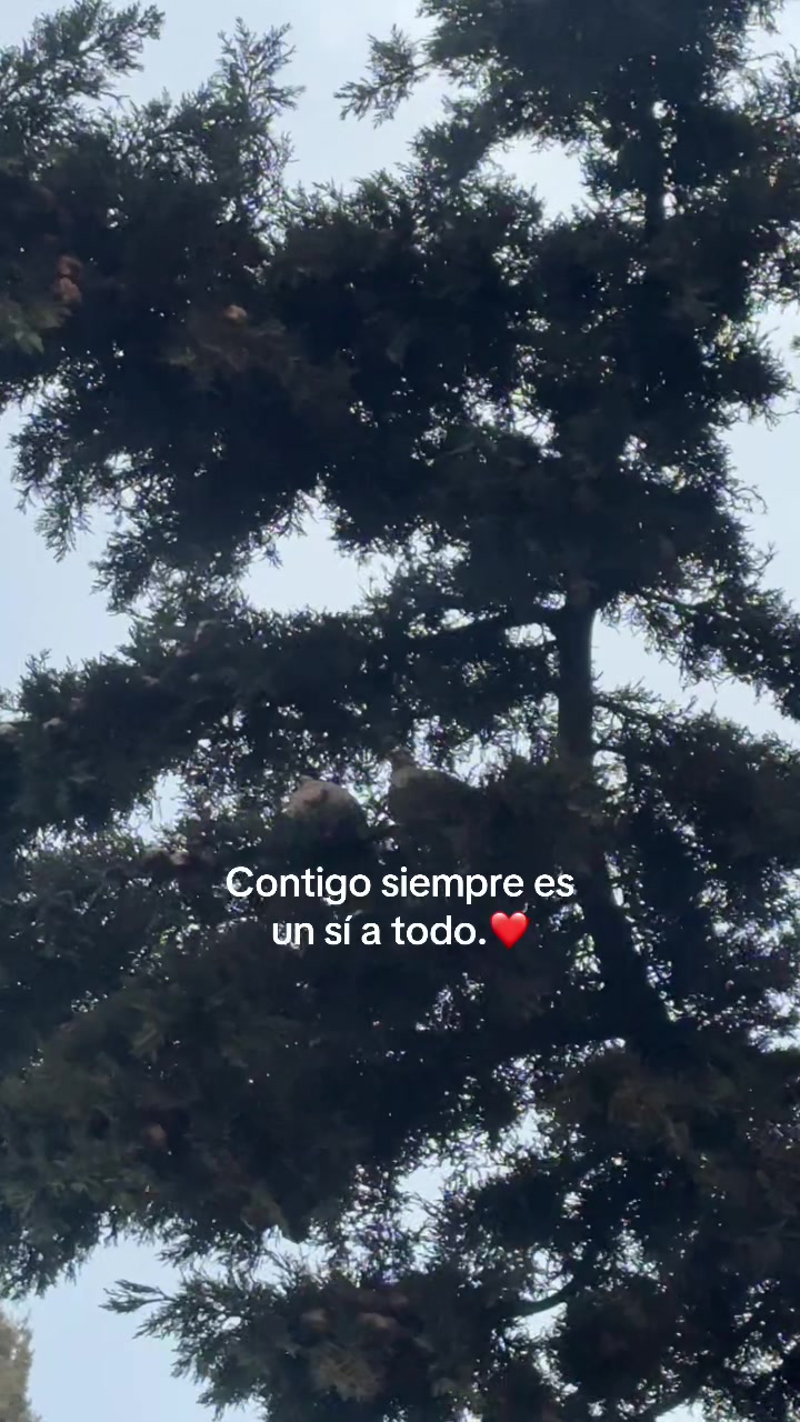 @nany.