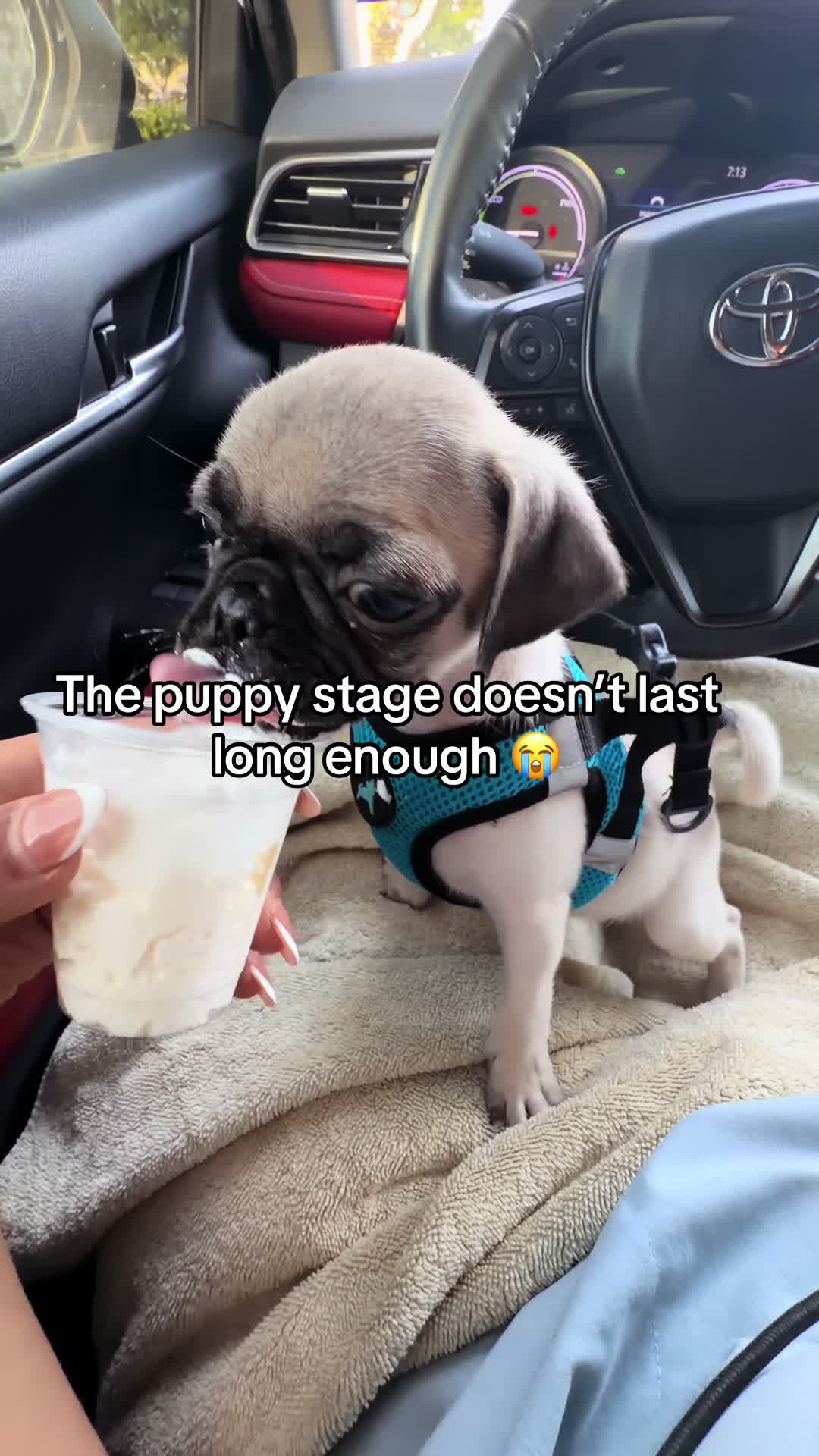 @Jimena 🦷