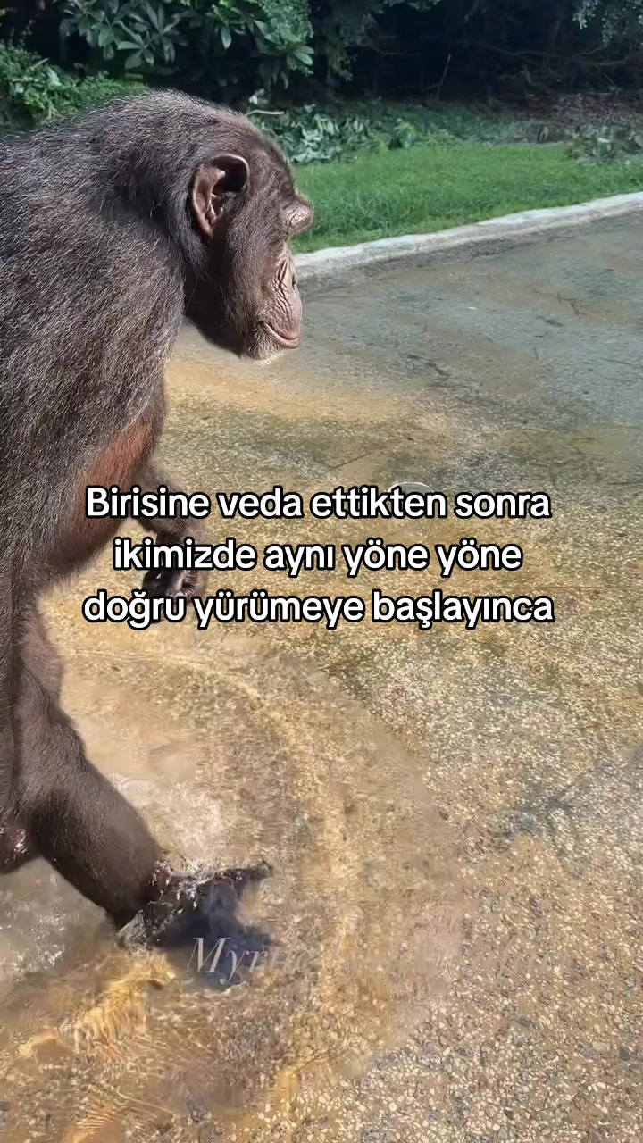 @rolland