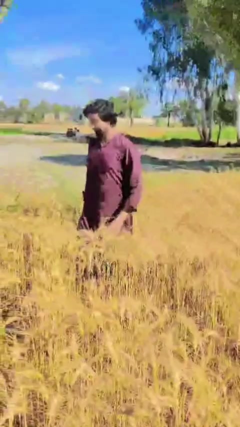 @mjunadsahu786