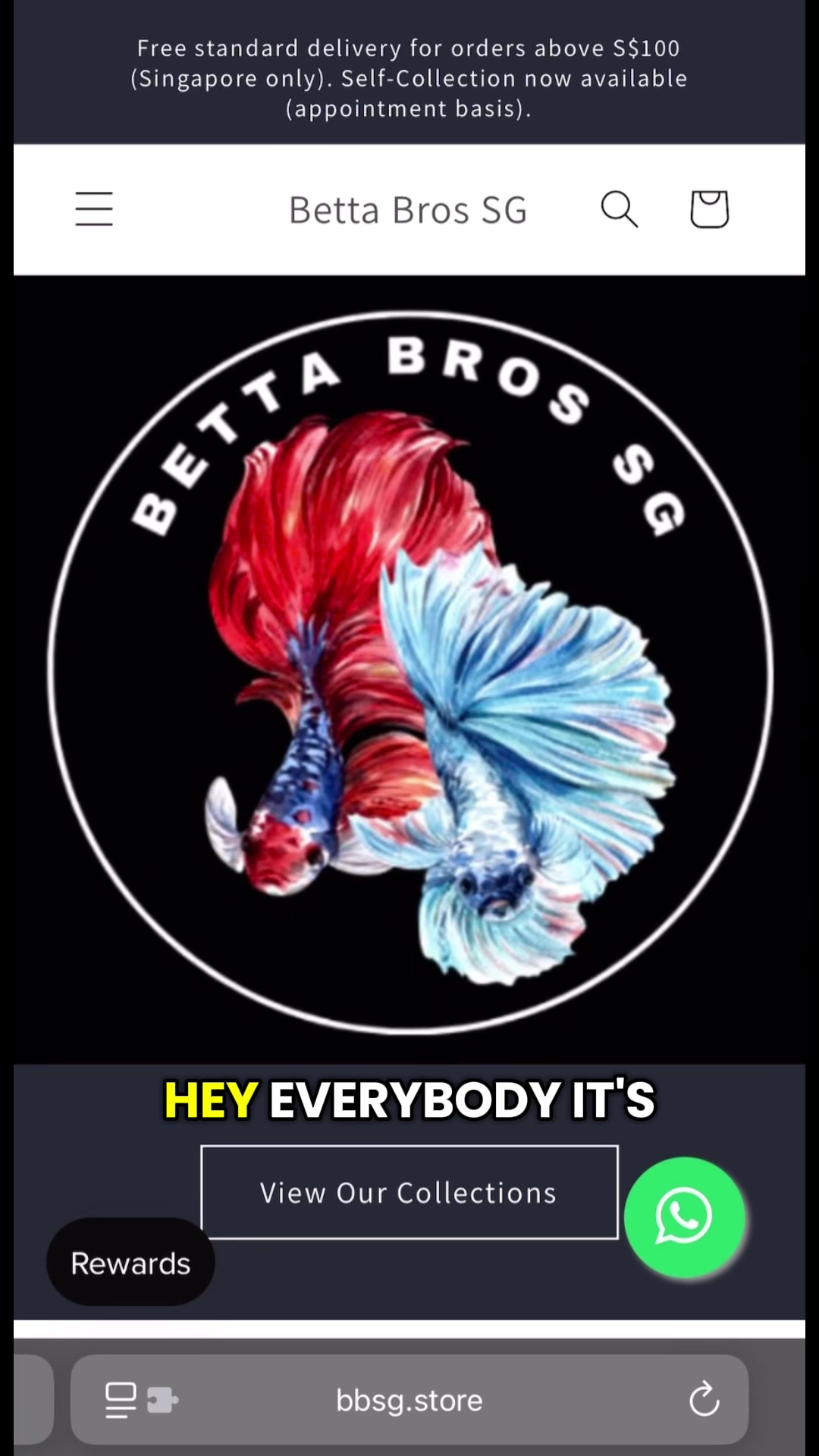 @bettabrossg