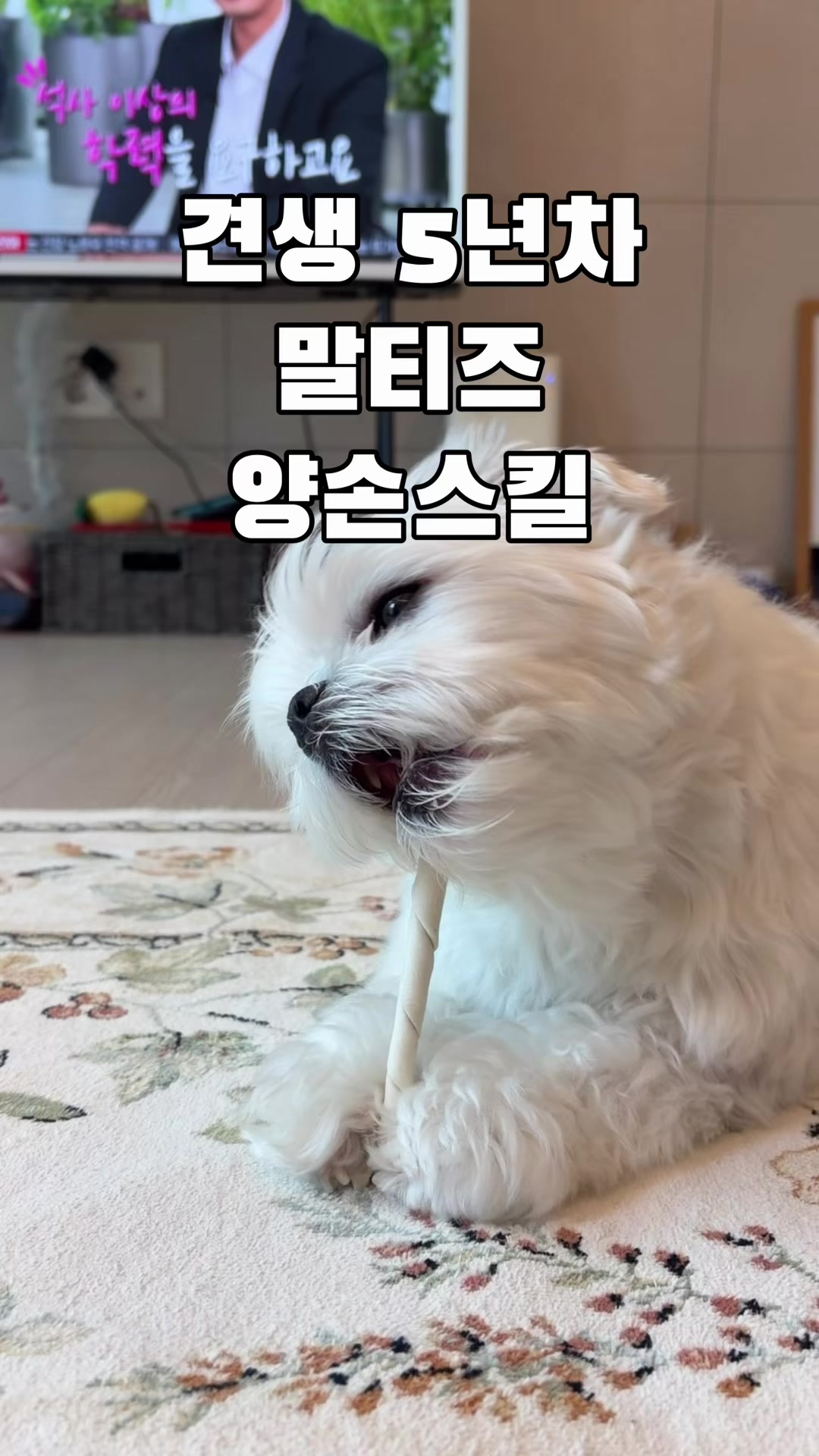 @박까까