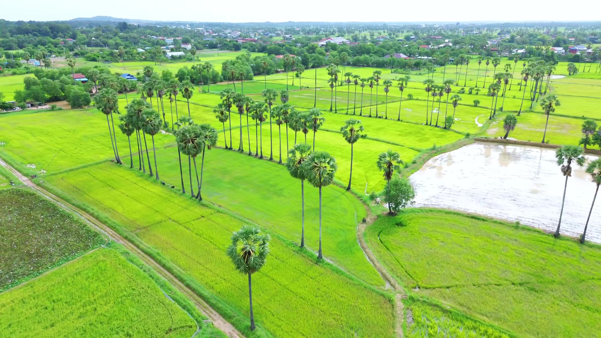 @KERY PHEAK