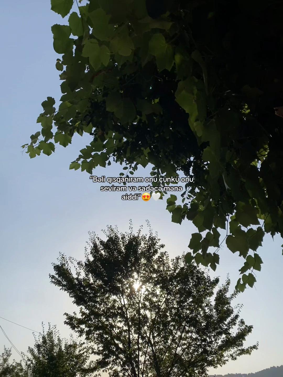 @𝐅𝐚𝐦𝐢𝐥❤️🩹🩹