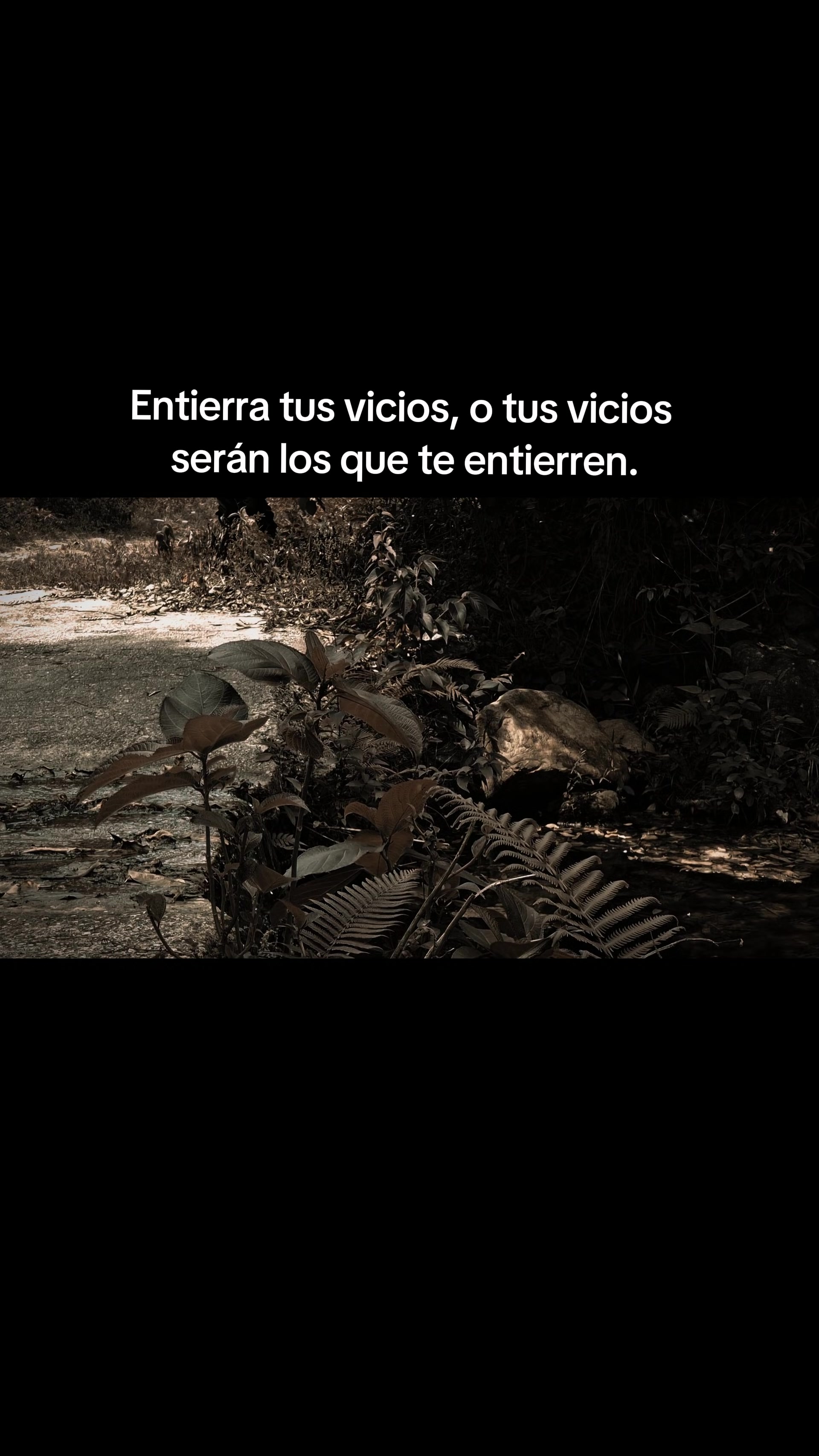 @El-Comis El Rey de la Realidad