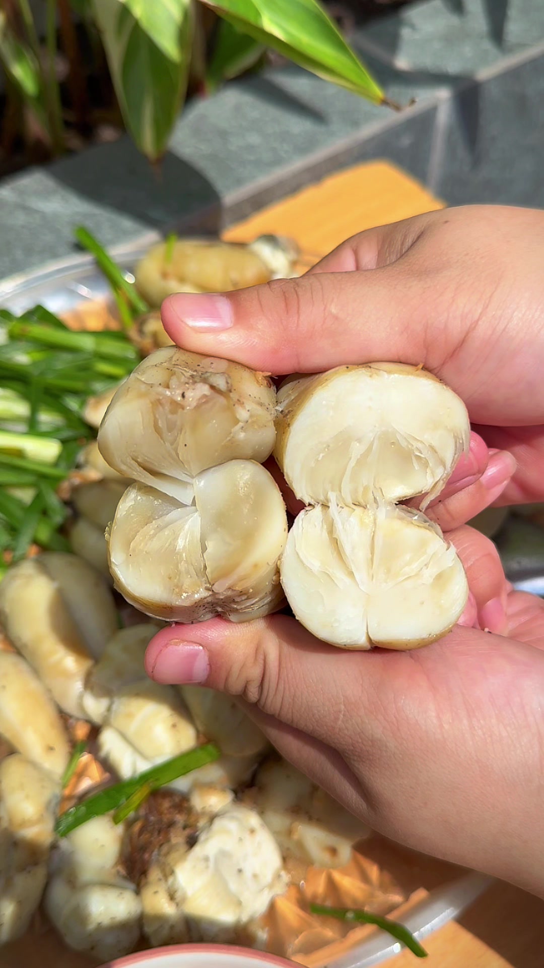 @Mặt Bự Thích Nấu Ăn
