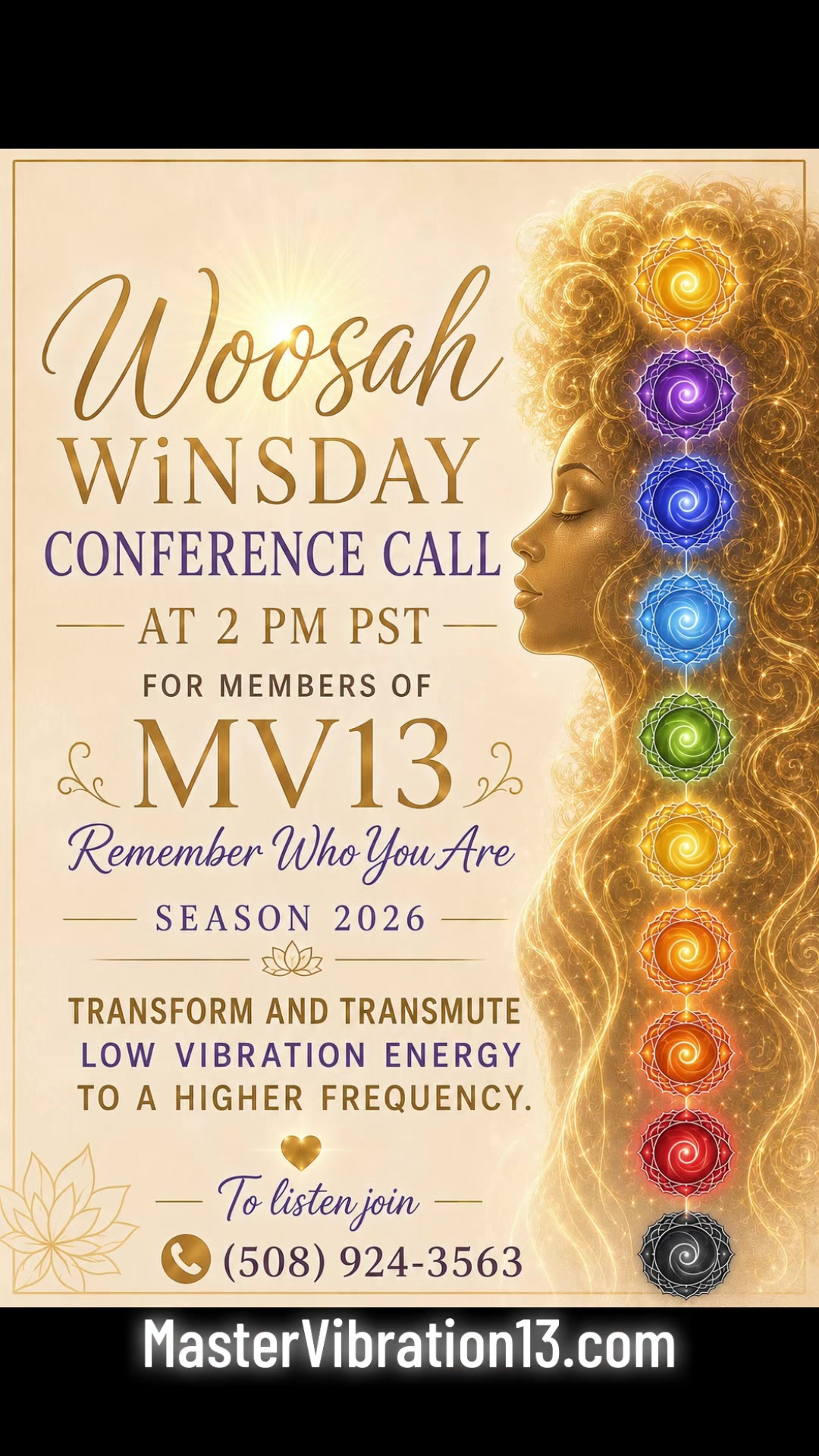 @MasterVibration13