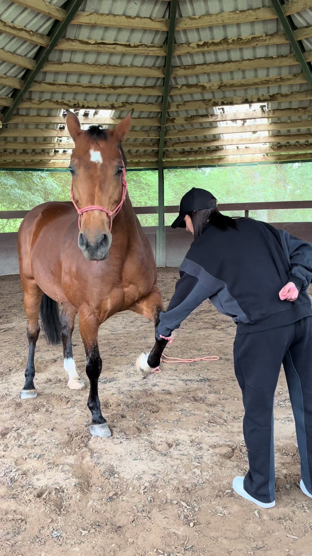 @jumpingmare