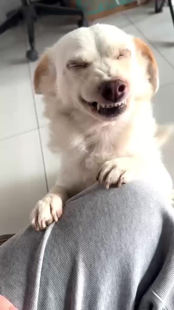 @Funny