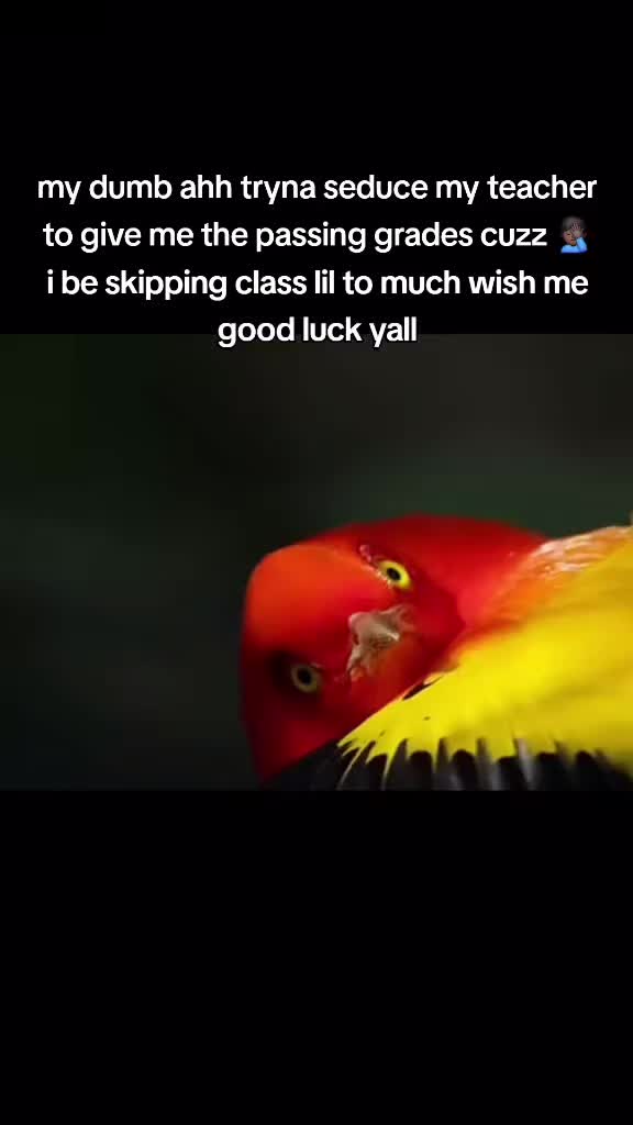 @iluv.𝒻𝓇𝑒𝒶𝓀𝓎