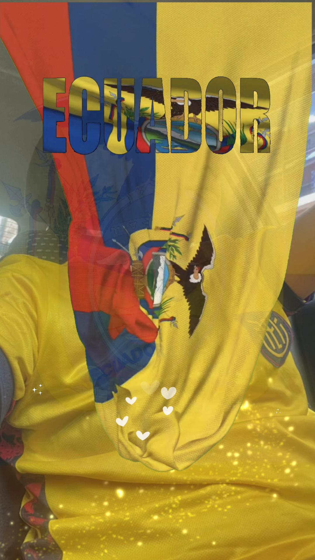 @Fausto Bastidas