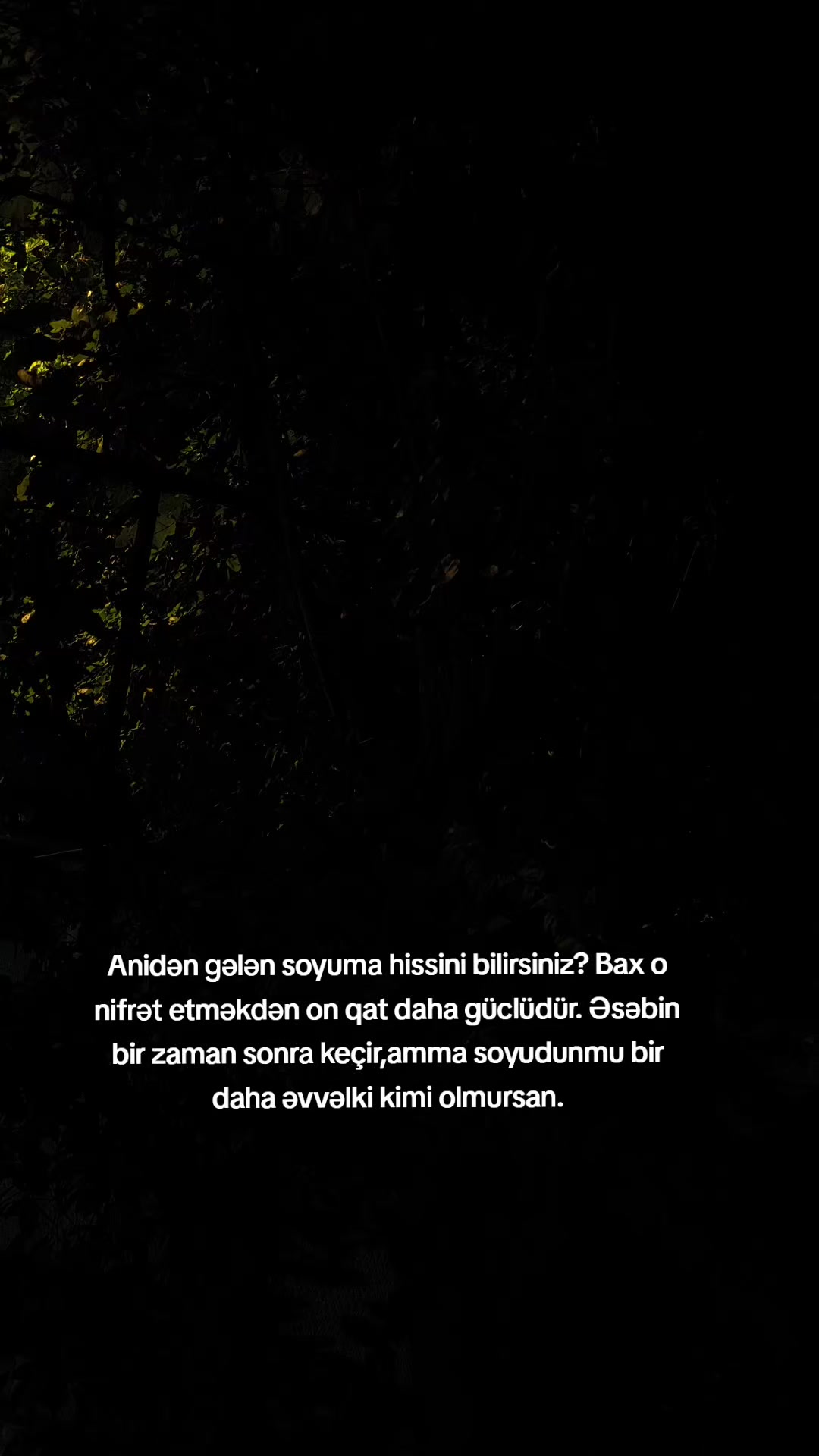 @Qruz Vaxtı