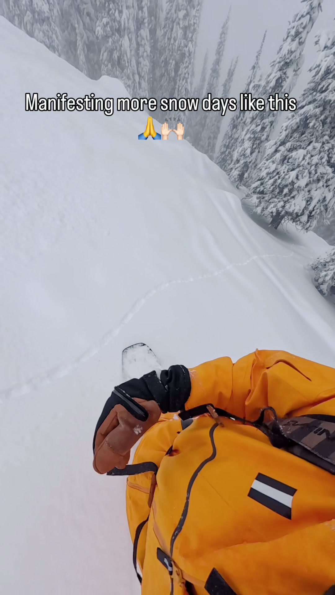 @Boards Bikes and Hikes