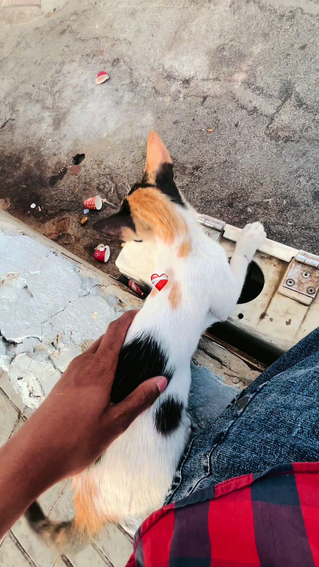 @ 𝐅𝐎𝐑𝐇𝐀𝐃 