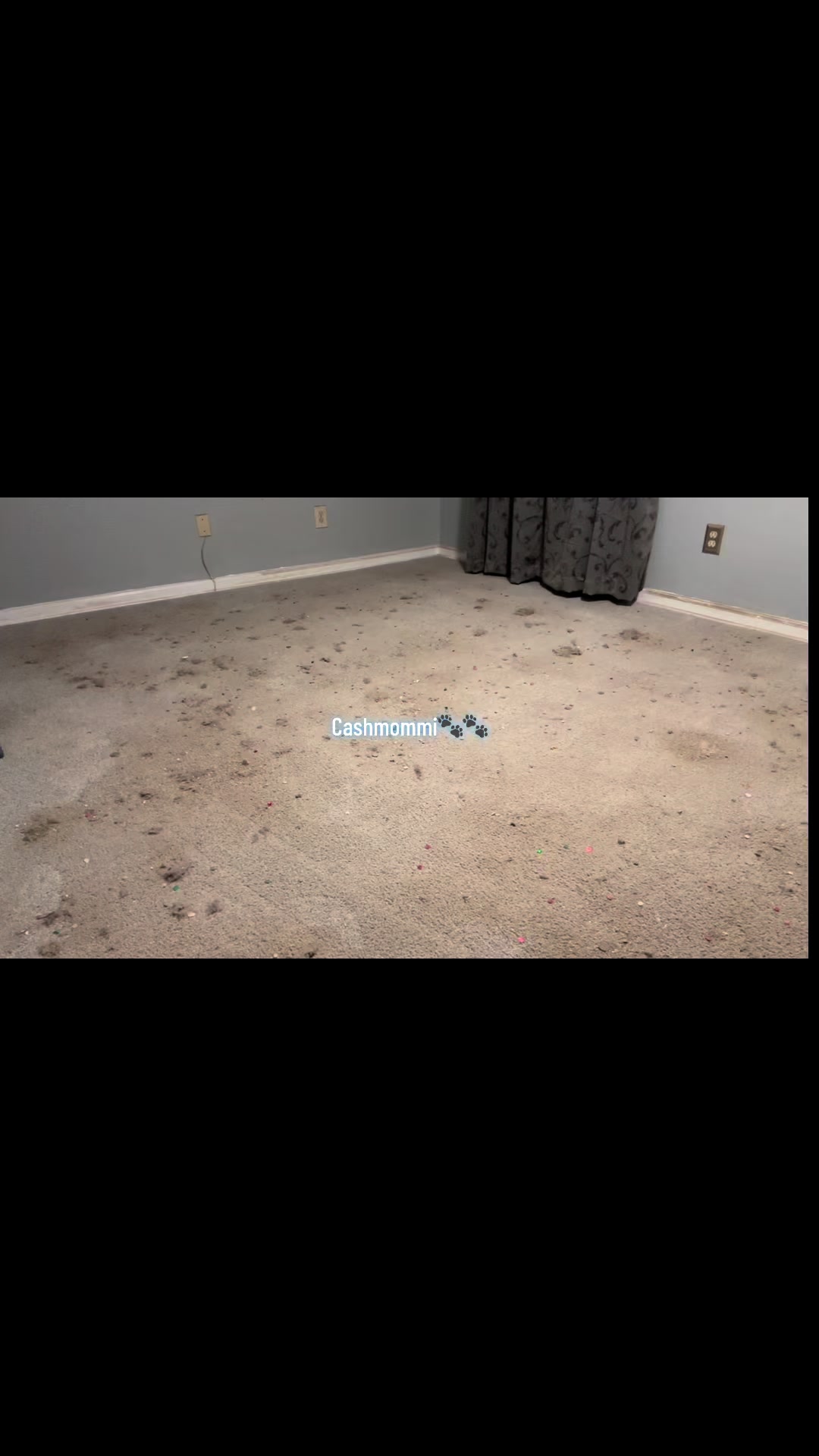 @CashmommiVacs
