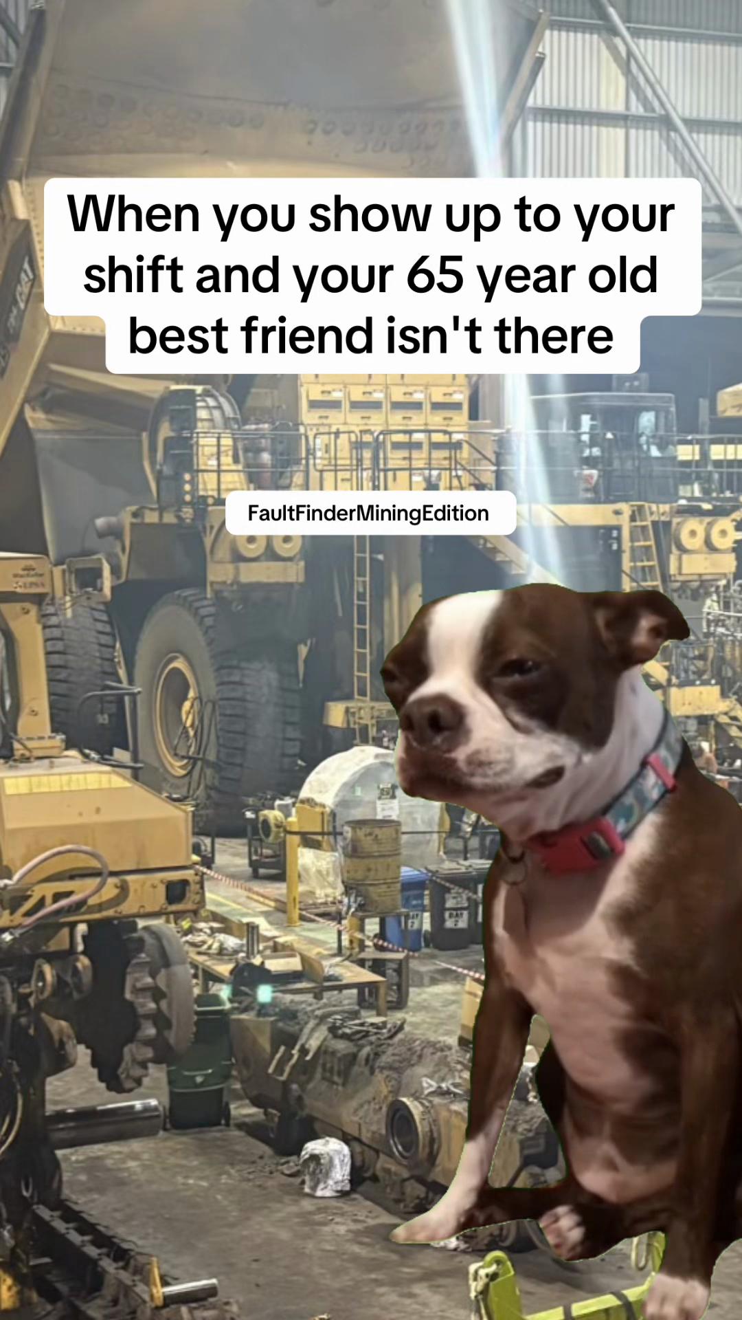 @faultfinder