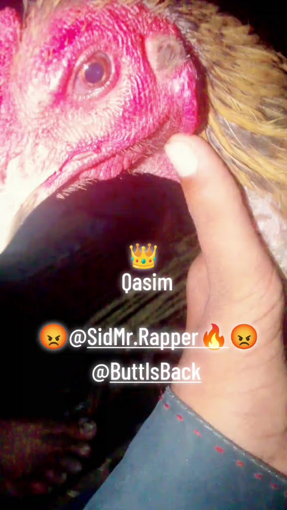 @@,QSiM,4044