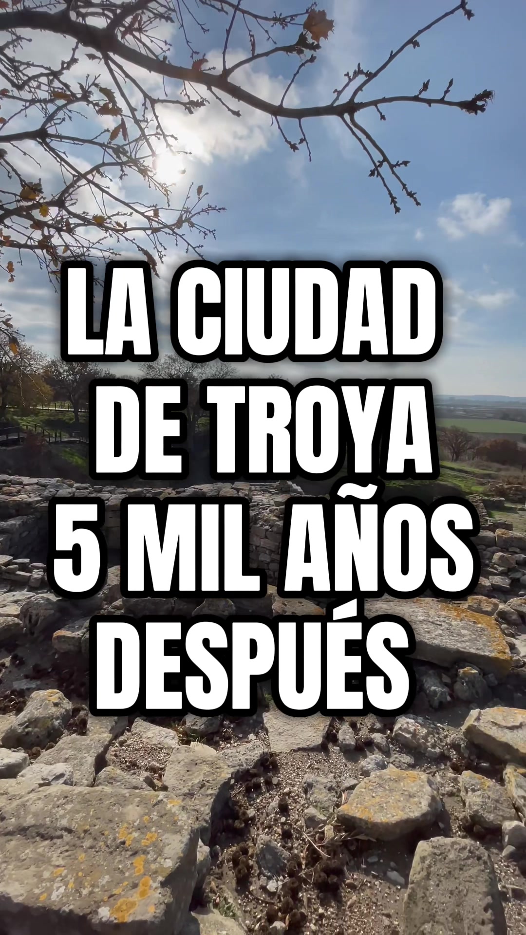 @J TURCIOS
