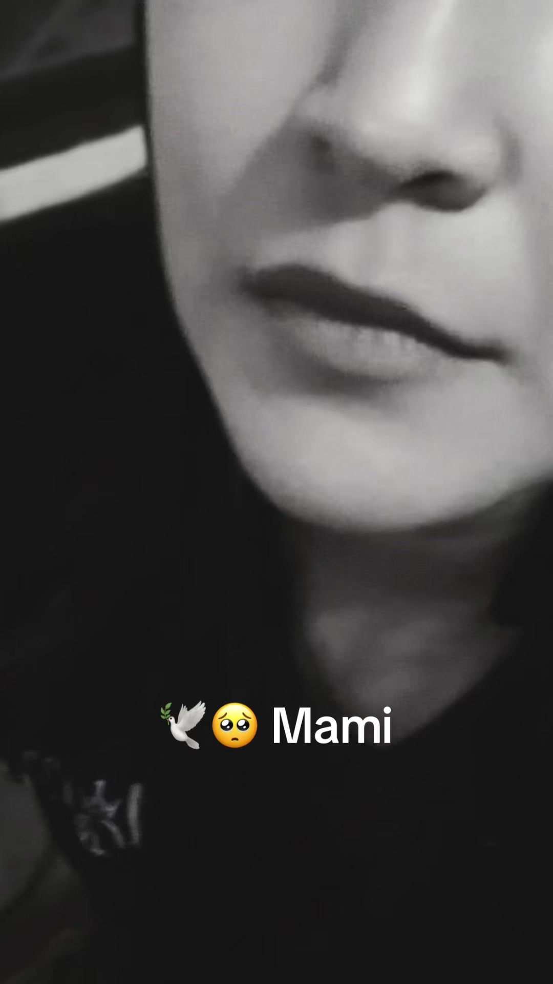@Carmencita 🕊️🤍