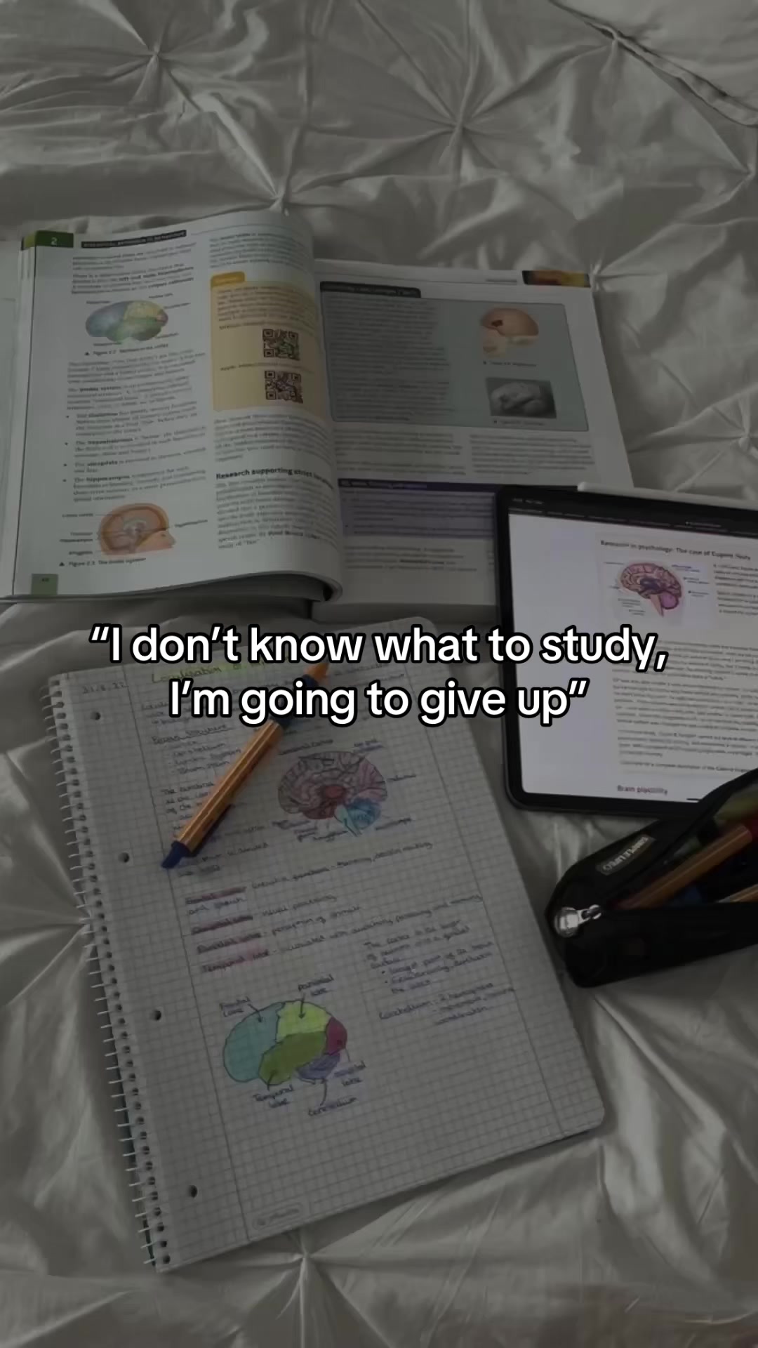 @StudyingTips