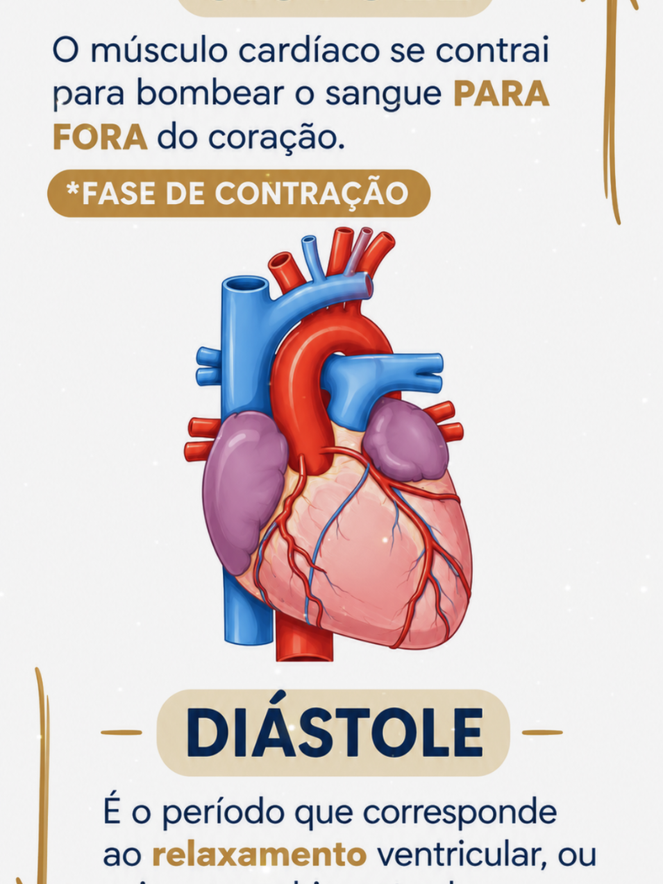 @PasseMed