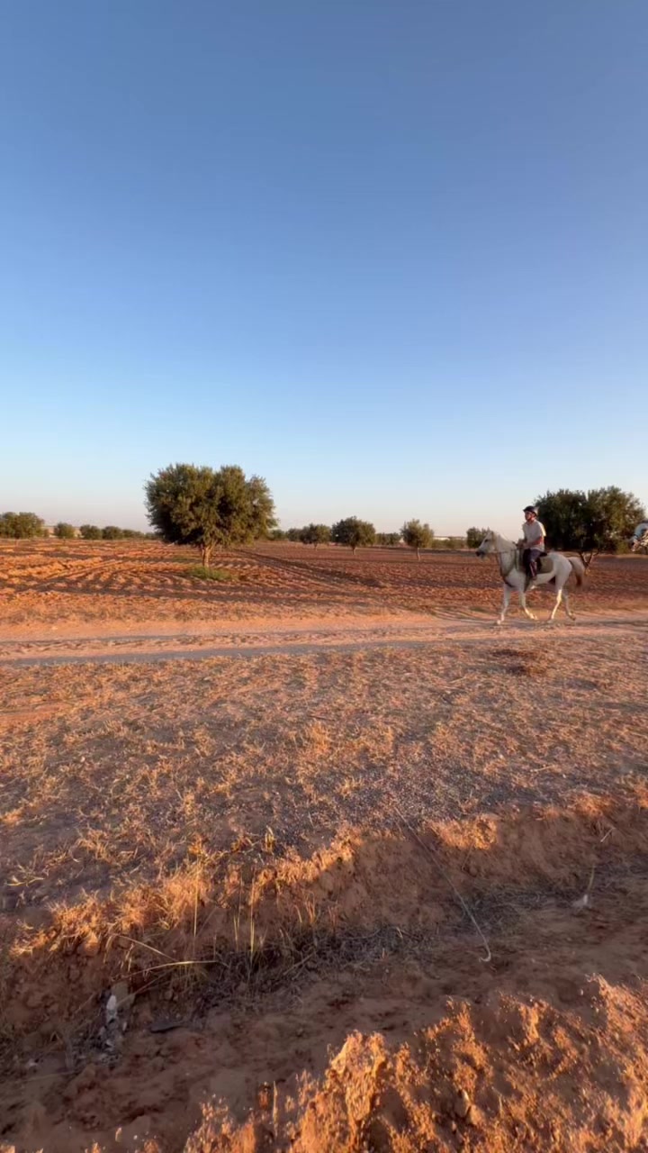 @Feres Ben Amor 🏇