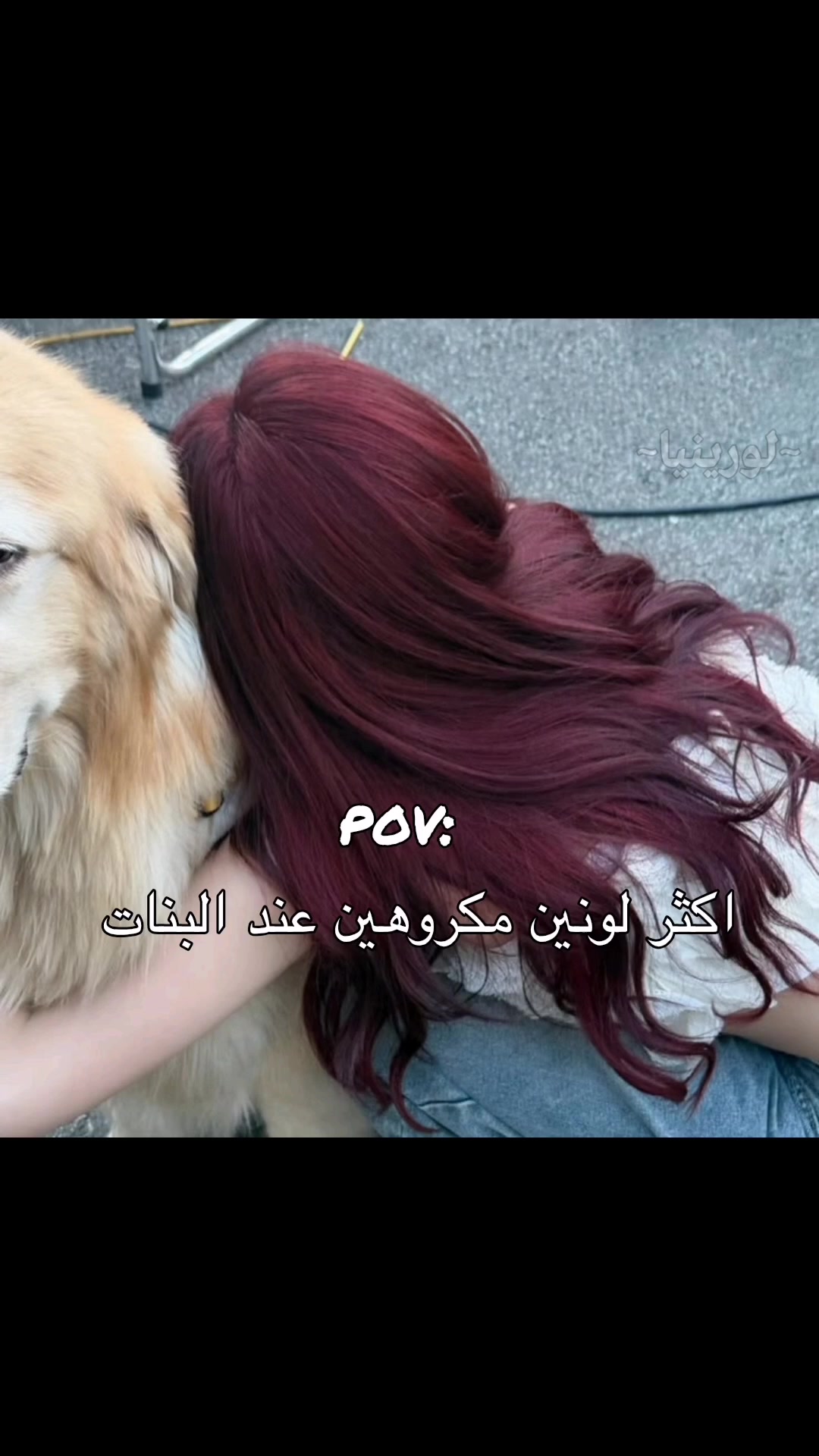 @لـوࢪيـنـيـاެ فـاެشـوטּ🐼ᐟ੭̲᱖ּ