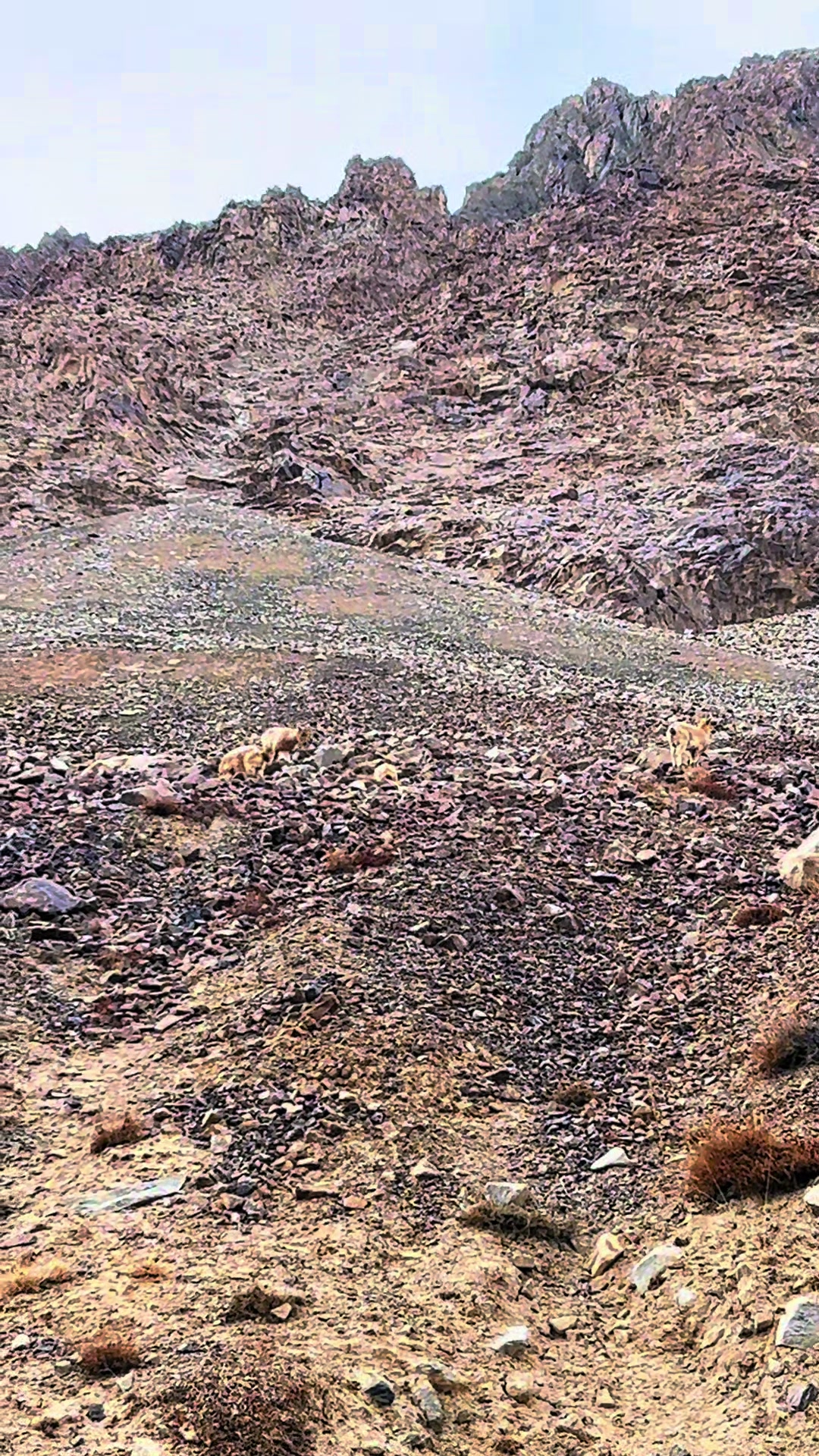 @Gilgit Baltistan Tour Planners