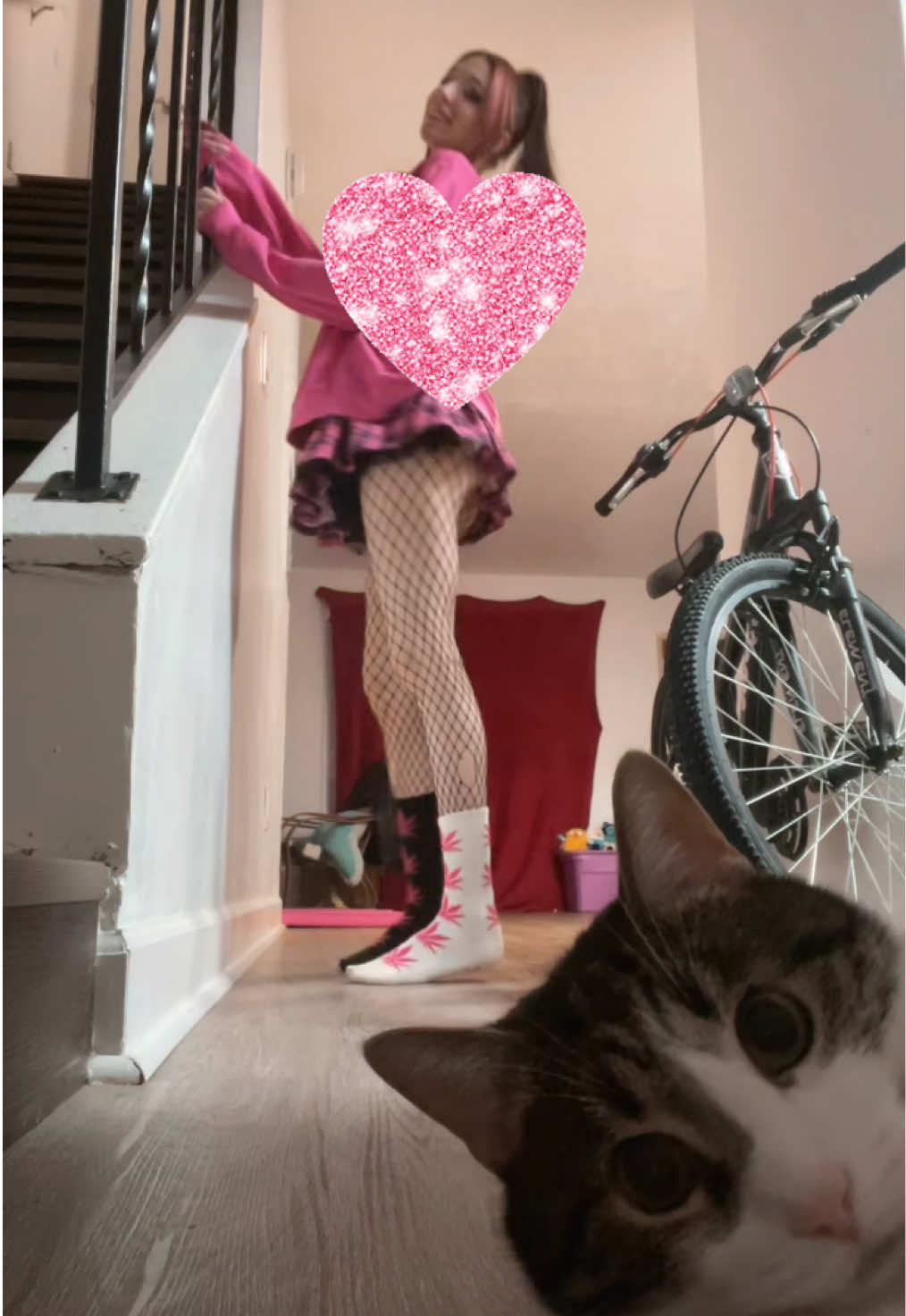 @Zoeglil ≽^• ˕ • ྀི≼