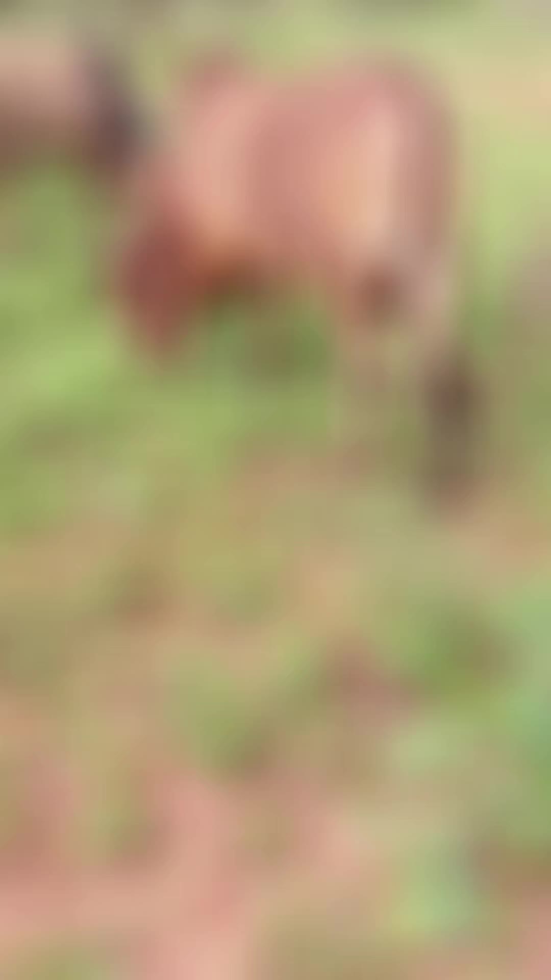 @爪山乇几ᗪ山卂