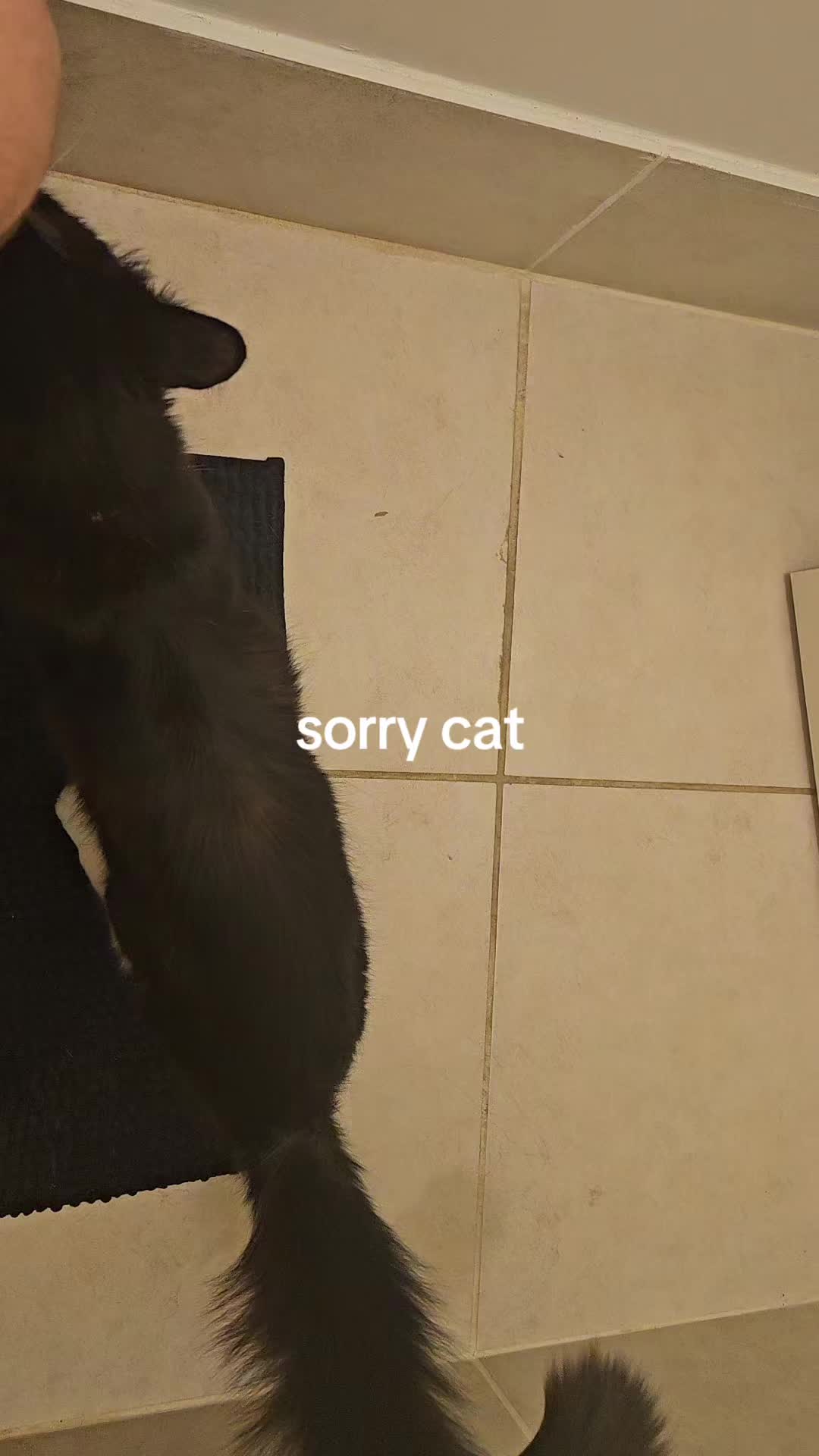 @itsjustfarts