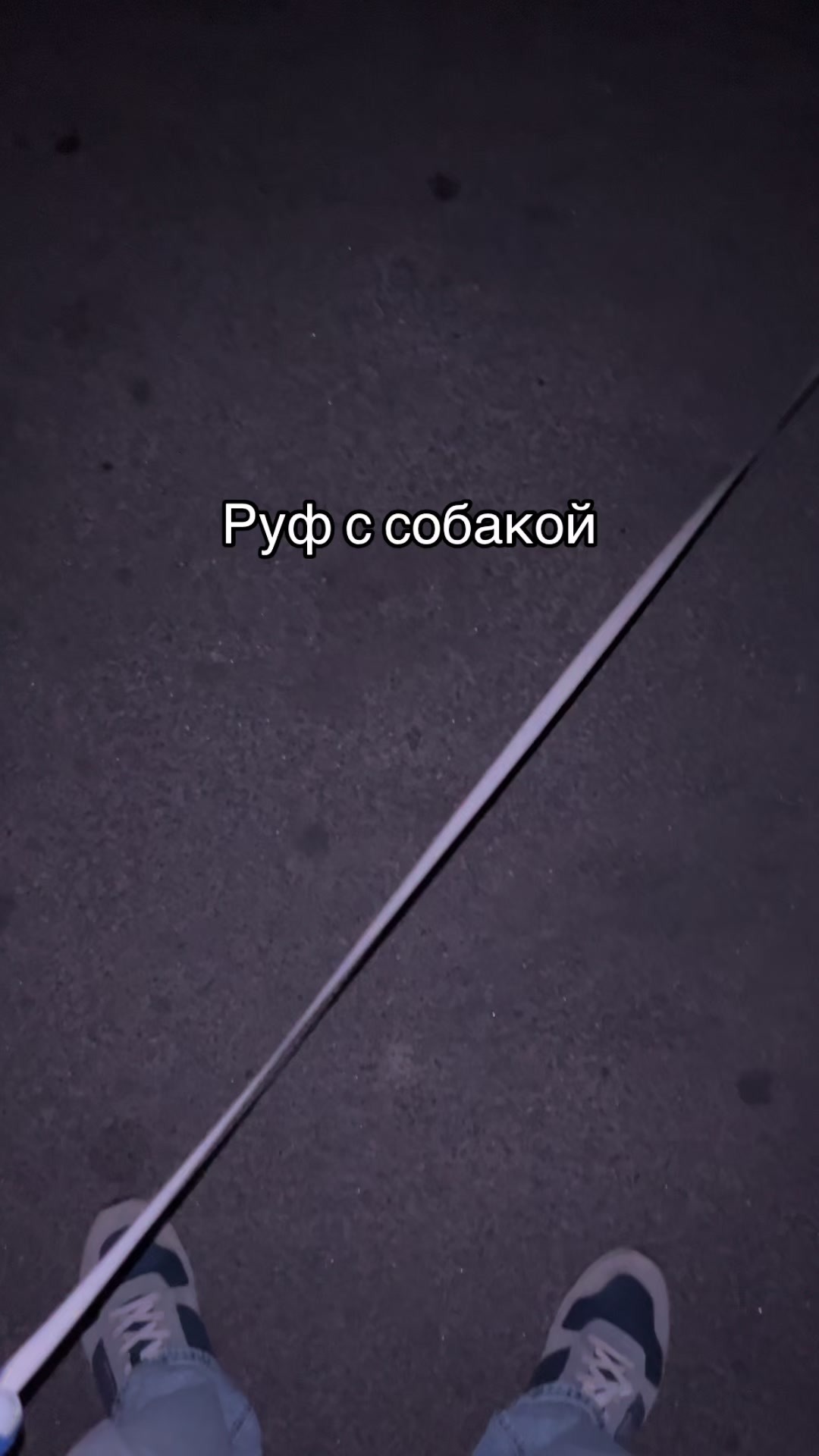 @Кишиневский сталкер