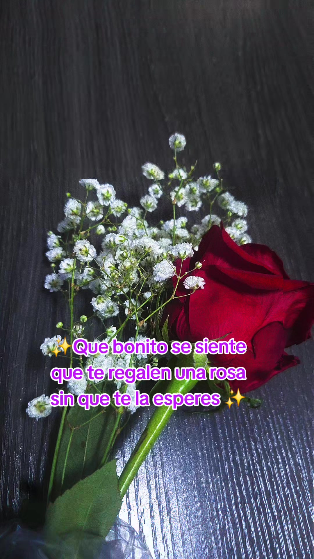 @melycasales